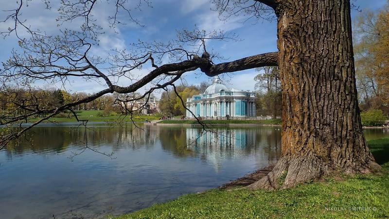 пейзаж 	 озеро. Царское Село.  2022 фото превью