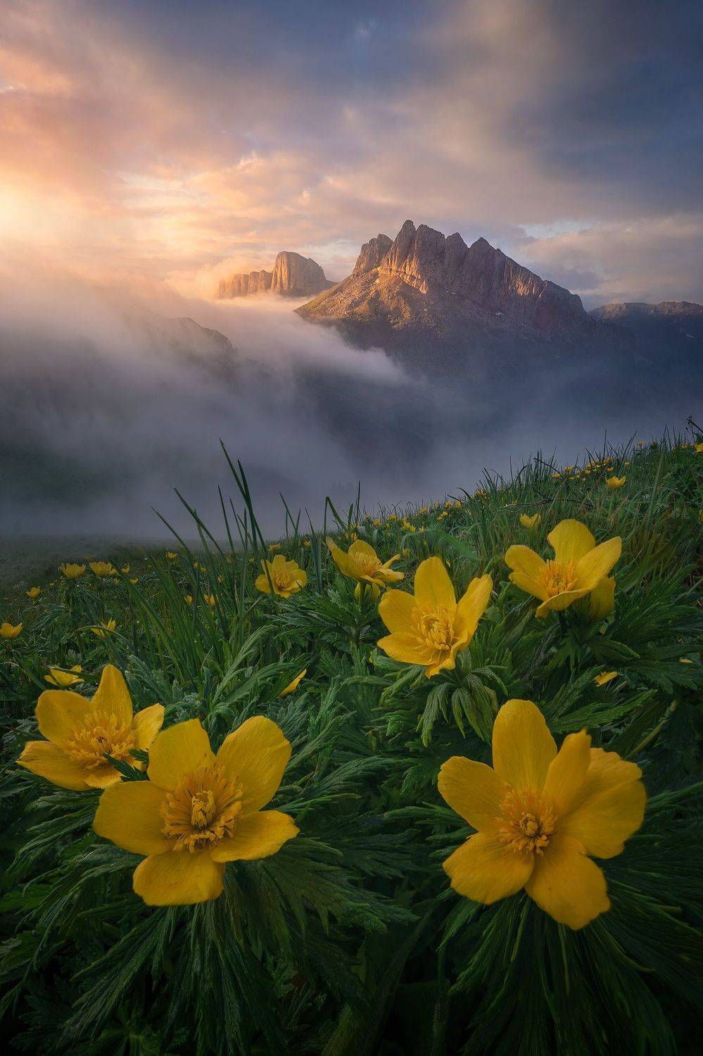 горы, тхач, ачешбоки, большой тхач, карачаево-черкесия, кавказ, Александр Дударев