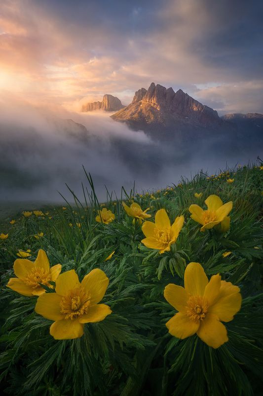 горы, тхач, ачешбоки, большой тхач, карачаево-черкесия, кавказ Горы Ачешбоки фото превью