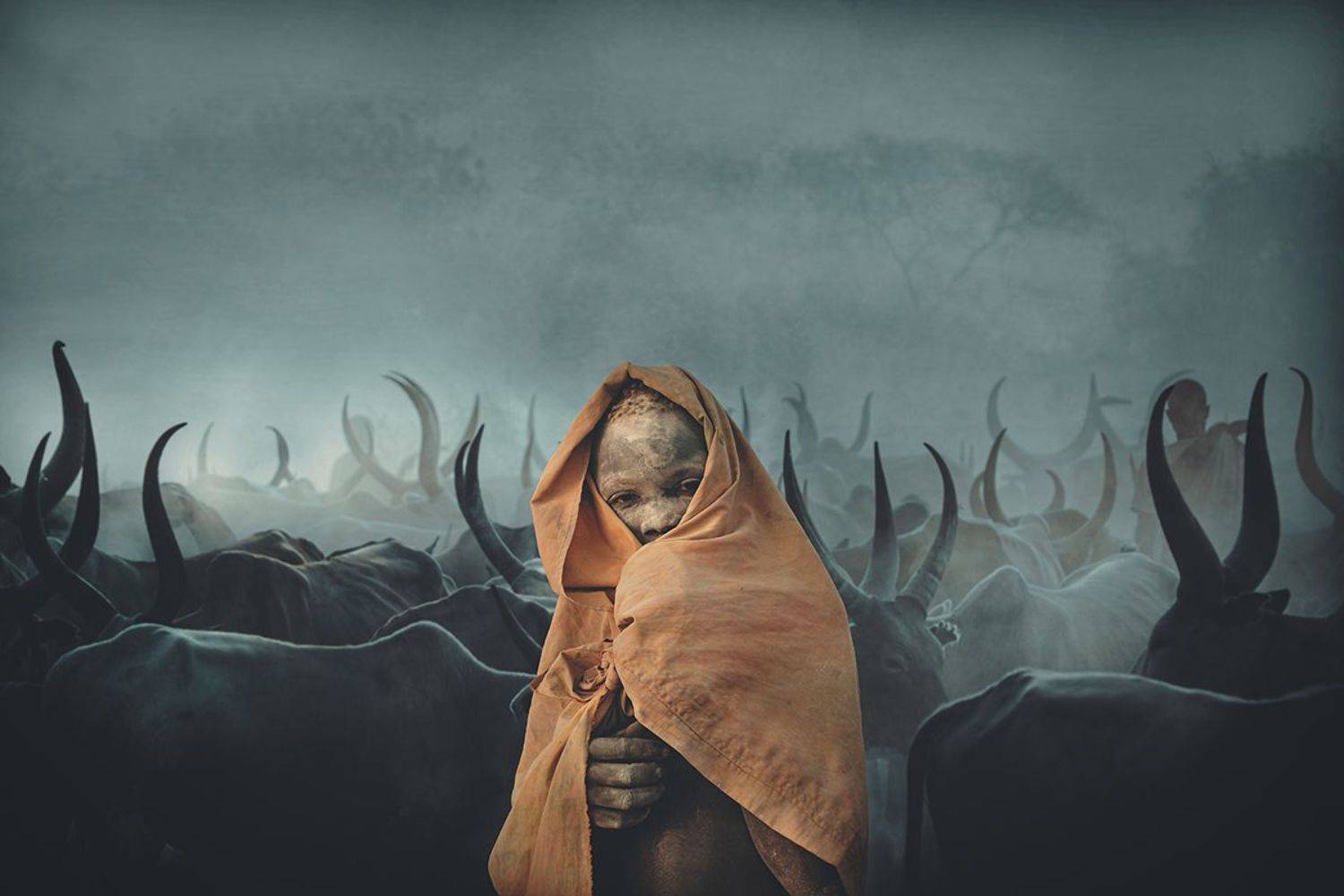 child,people,children,kids,boy,kid,africa,person,people,urban,woman,light,low key,low-key,girl,dark,fog,shadow,mundari,dinka,southsudan,sudan,tribal,tribe,africa,afrika,horns,sunset,sunrise,war,cattle,animal,nature,horn,wild,horned,cow,rural,south_sudan,c, Svetlin Yosifov