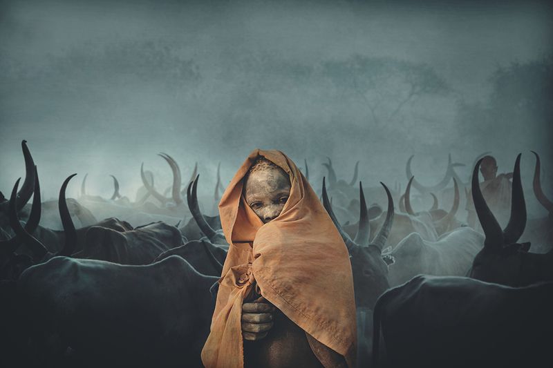 child,people,children,kids,boy,kid,africa,person,people,urban,woman,light,low key,low-key,girl,dark,fog,shadow,mundari,dinka,southsudan,sudan,tribal,tribe,africa,afrika,horns,sunset,sunrise,war,cattle,animal,nature,horn,wild,horned,cow,rural,south_sudan,c Children of Mundari, South Sudan фото превью