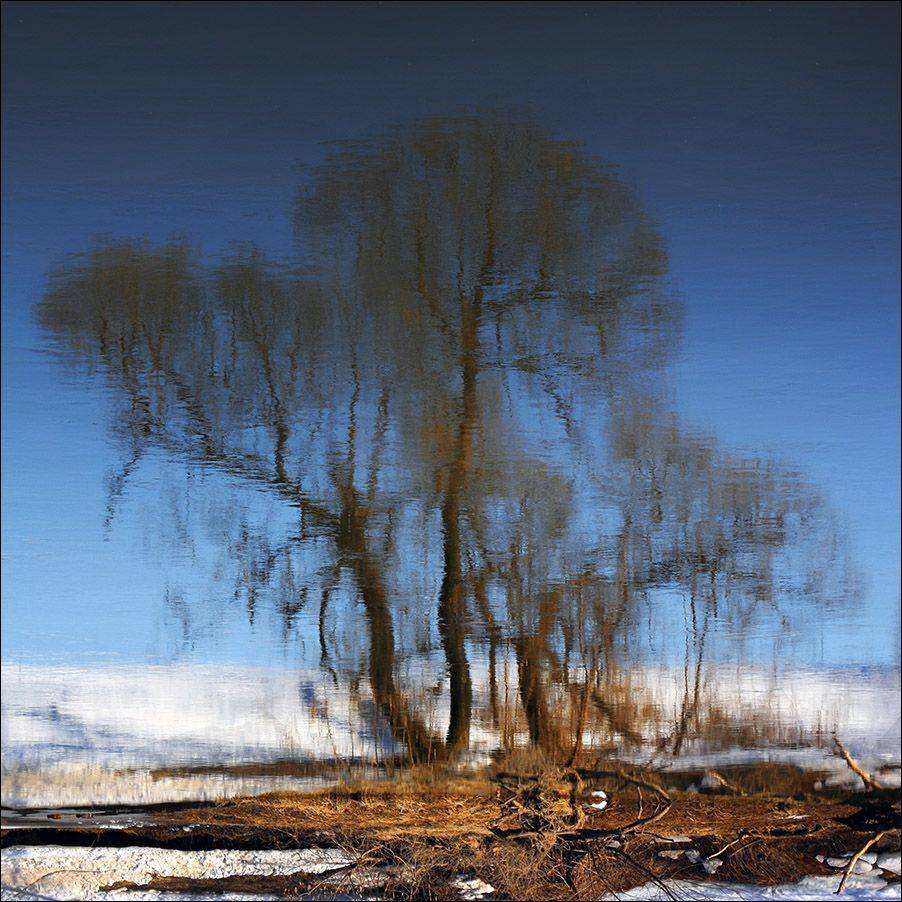 , Тарасов Алексей