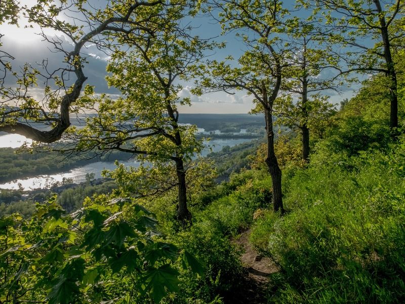 В жигулевских горах фото превью