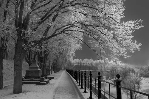 Нарва. Темный сад.