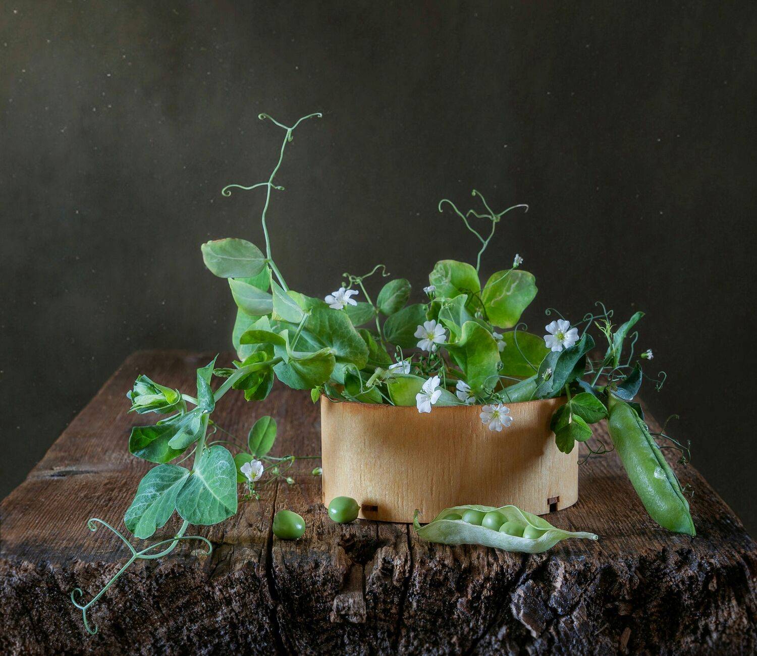 горох, горошек, зелёный горошек, июль,, Галина Тришина