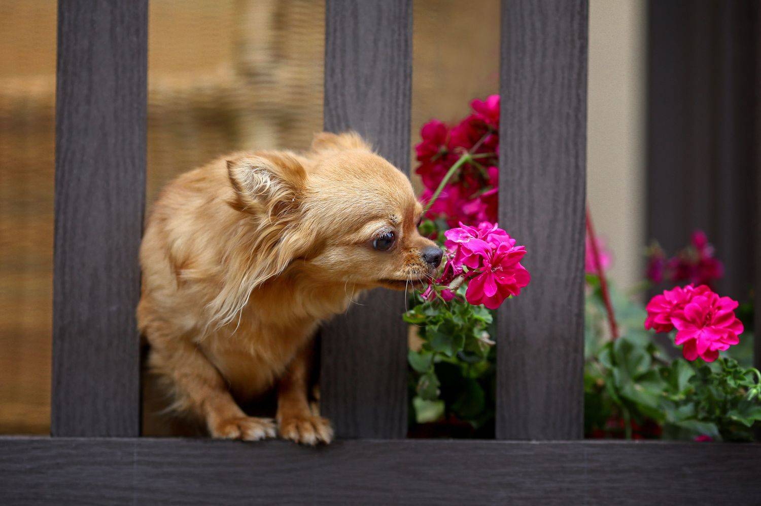 , Андрей Ершов