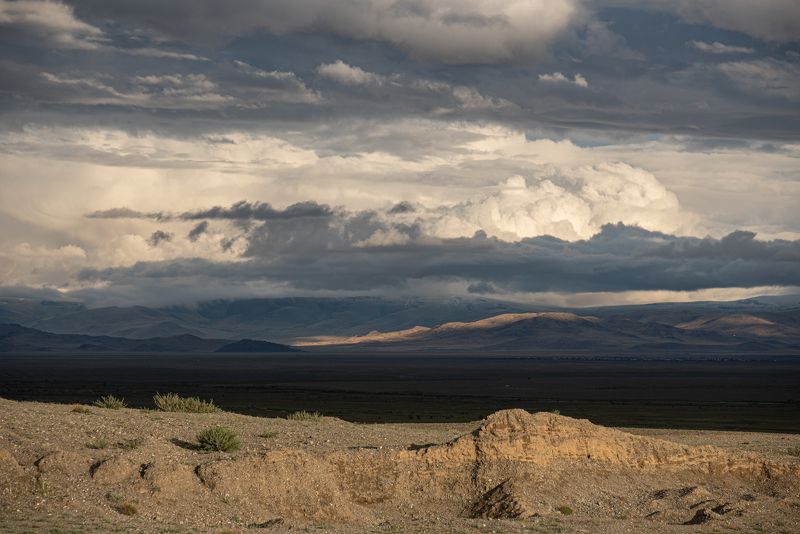 landscape, nature Алтай фото превью