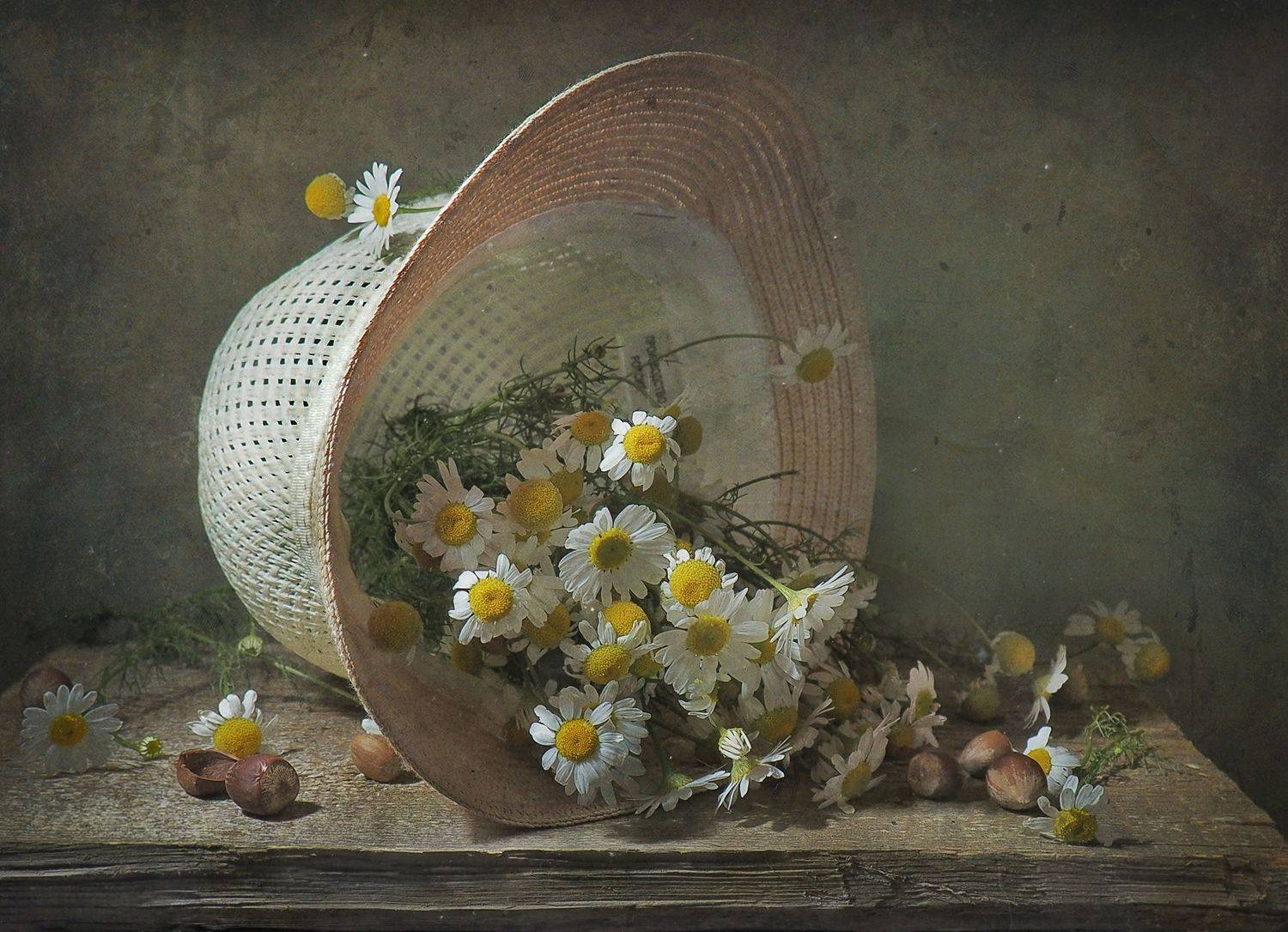 шляпа, ромашки,лето, Володин Владимир Владимирович