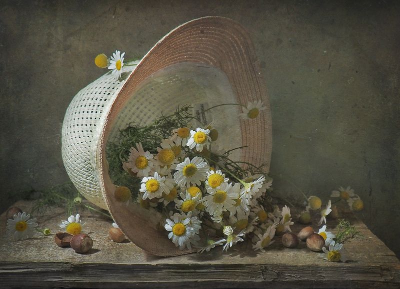 Ромашки спрятались... фото превью