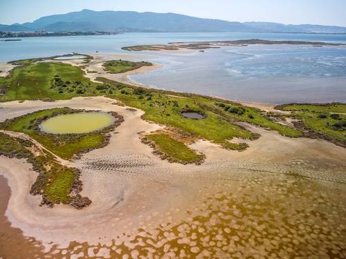 Заболоченные морские берега в Маремме, Италия