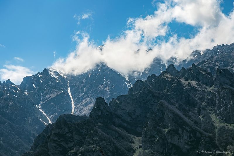 кавказ, горы, пейзаж Горные вершины Кавказа фото превью