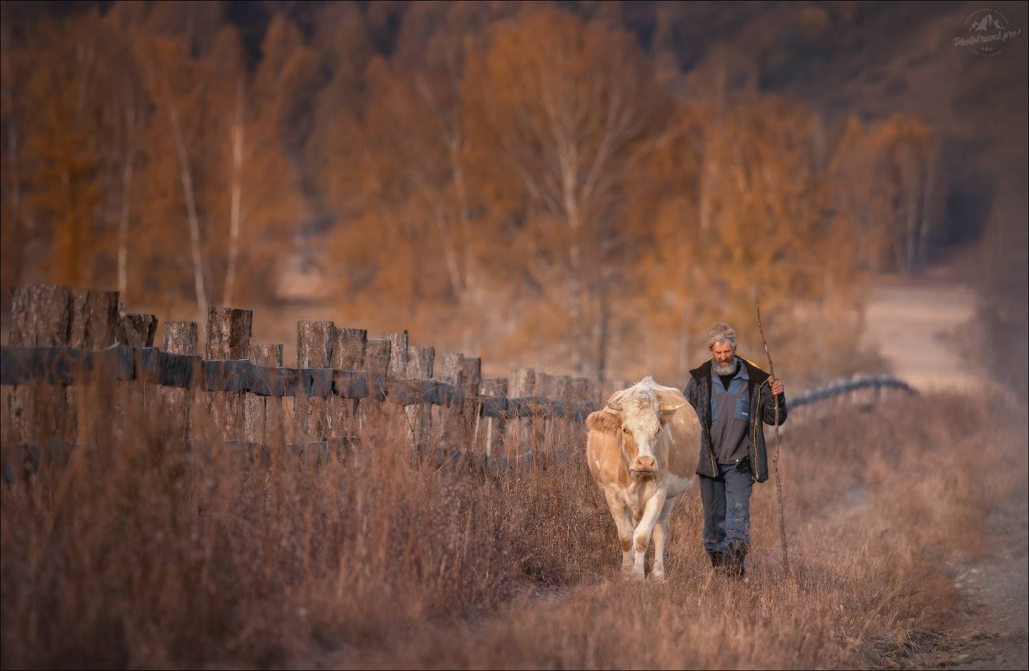 алтай, горный алтай, осень, фототур на алтай, осенний фототур на алтай, усть-кан, мульта, Влад Соколовский