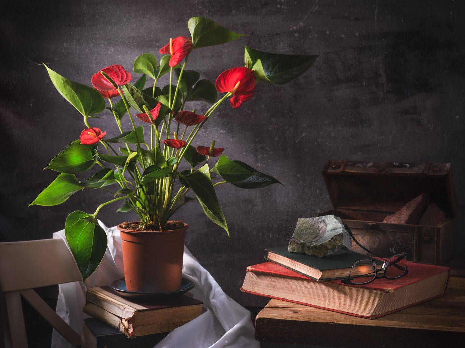 Натюрморт с цветами, красные цветы, Антуриум Андре, старые книги, камни, свет из окна., Вадим Кулинский