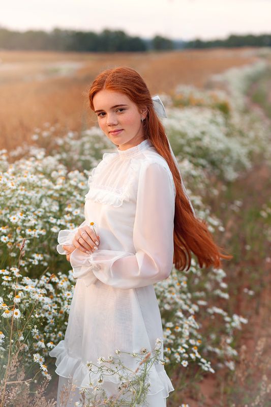 Ромашковый закат фото превью