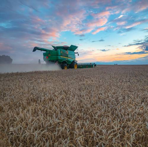 Живопись полей