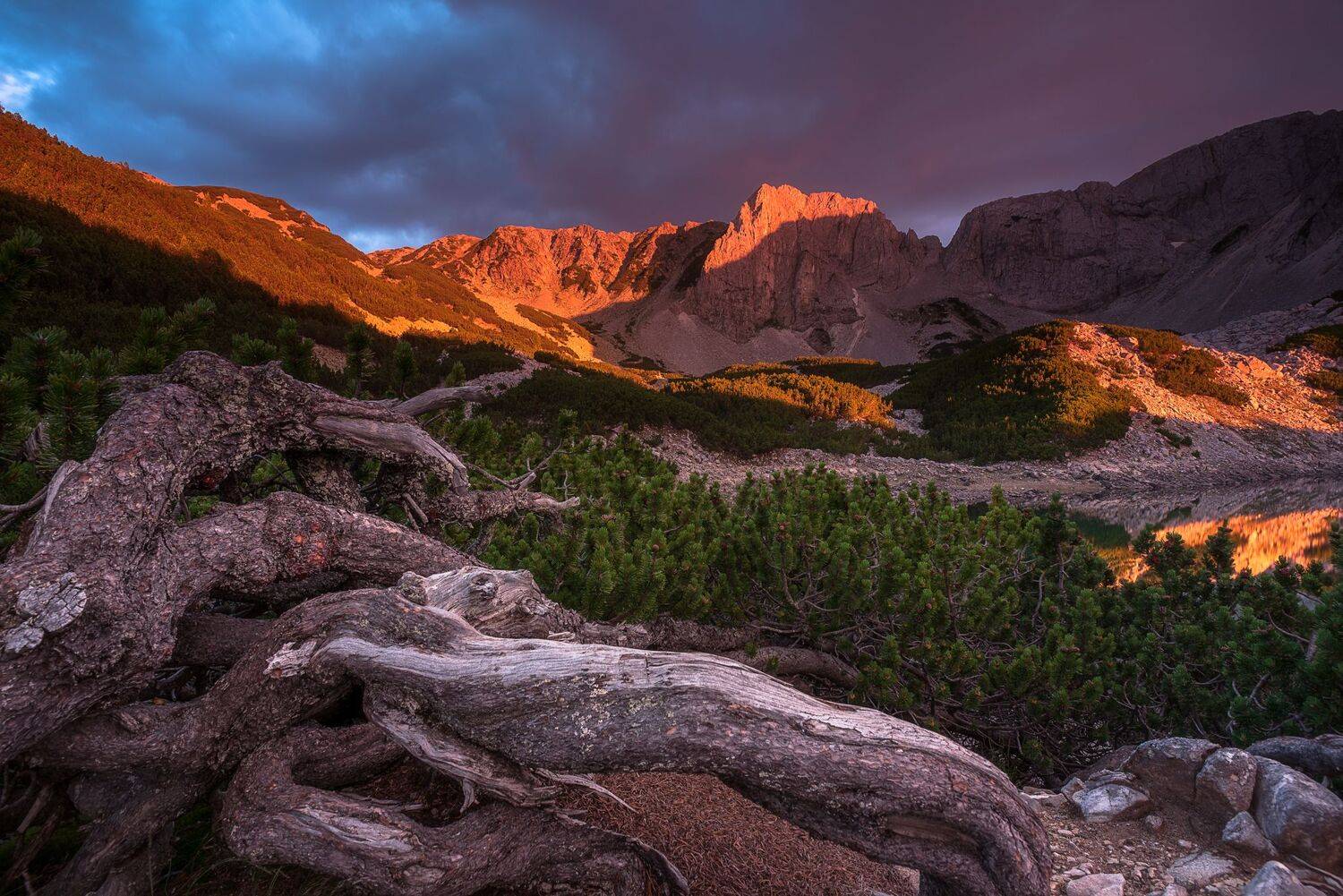 , Mariyana Atanasova - Lucero