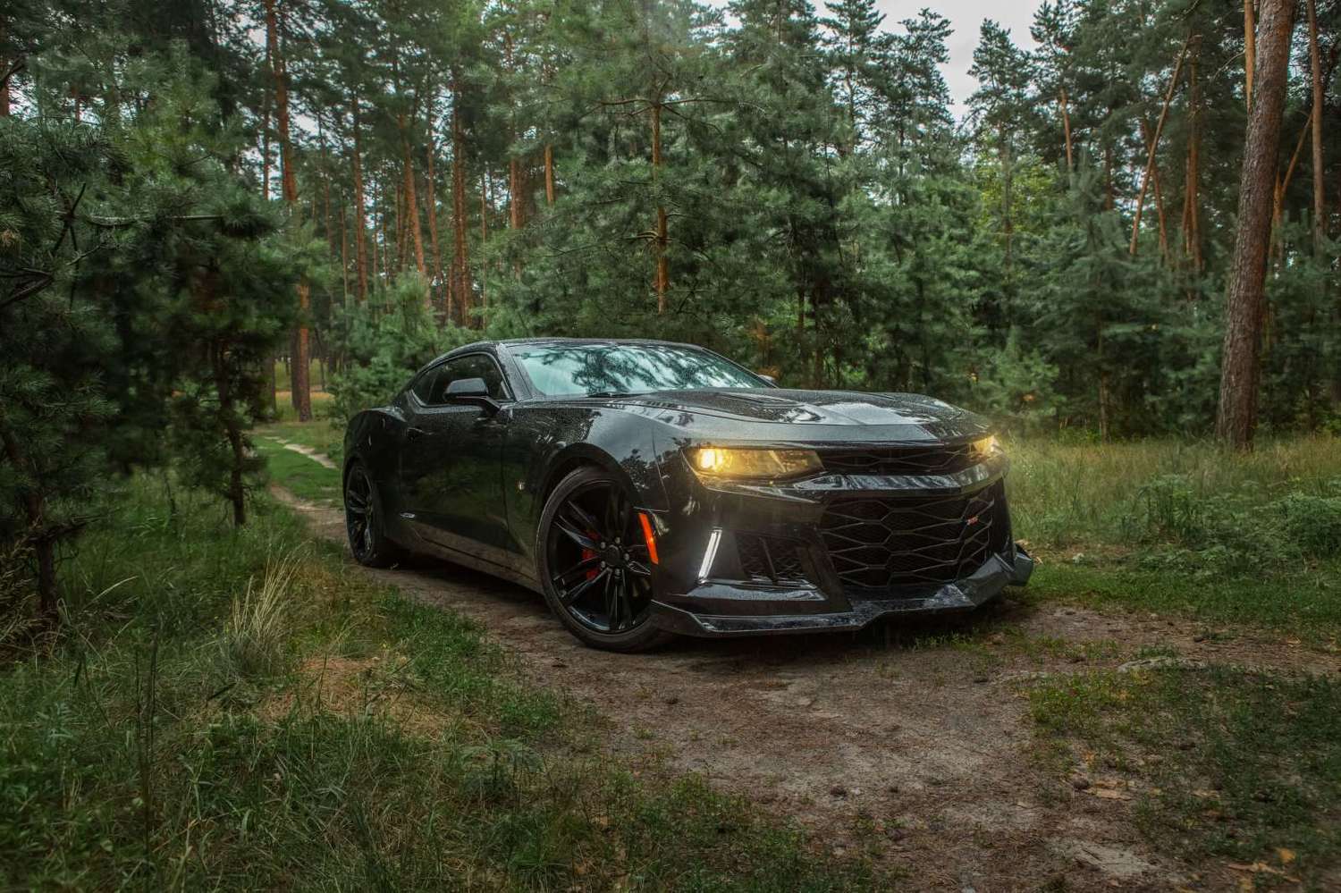 , Евневич Сергей