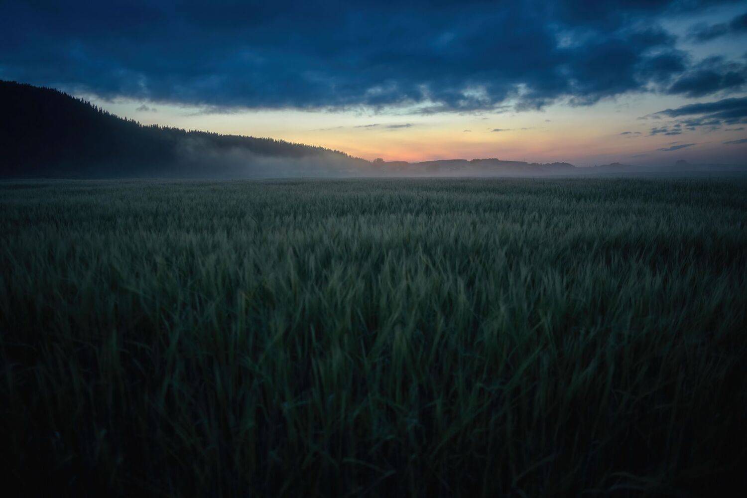 , Котов Андрей