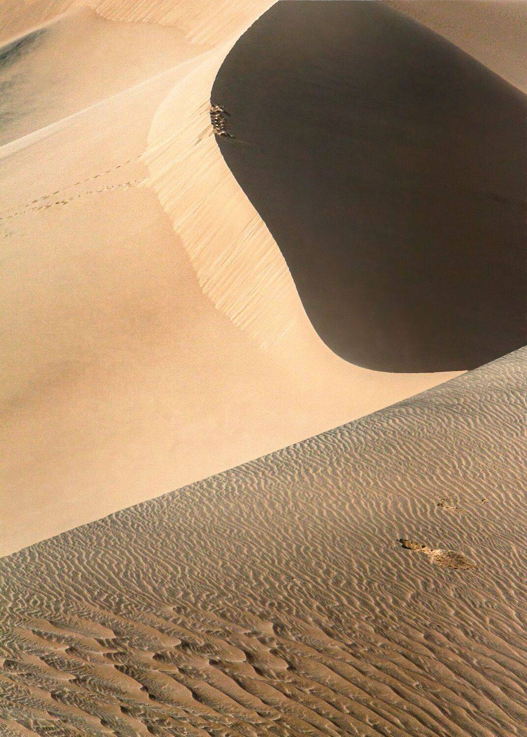 , Шварцман Евгений