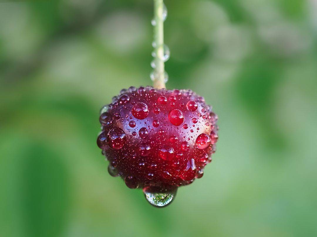 , Калёв Сергей