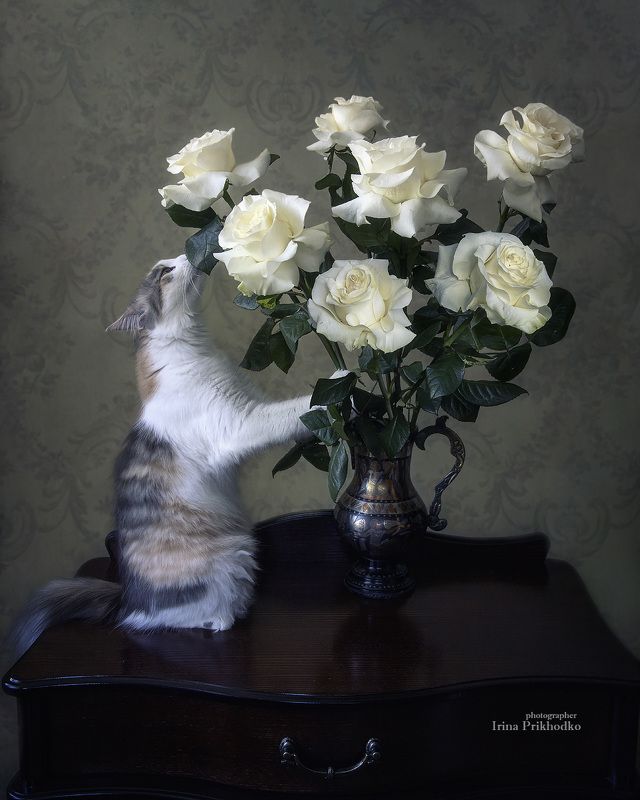 Невозможно оторваться! фото превью