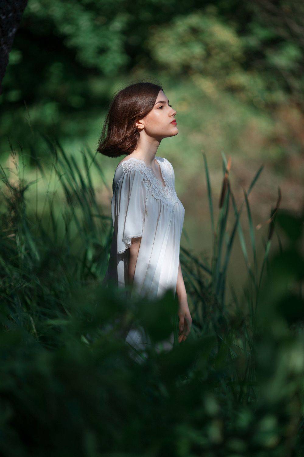 , Дмитрий Плеханов