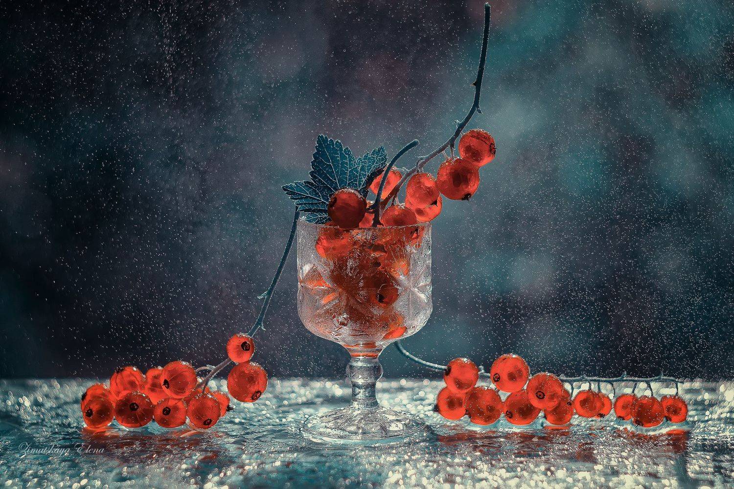 , Елена Зимацкая