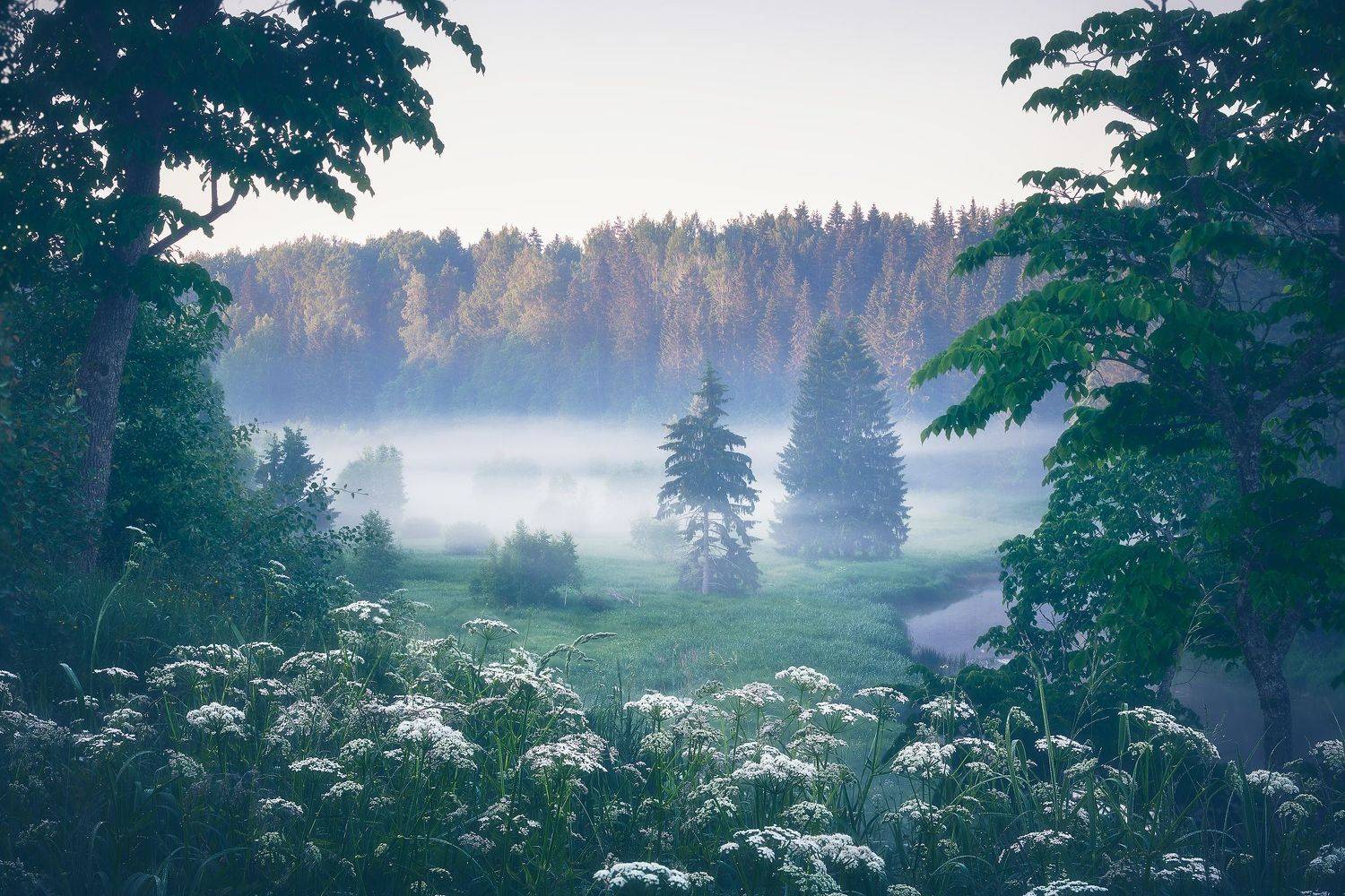 , Кононов Антон