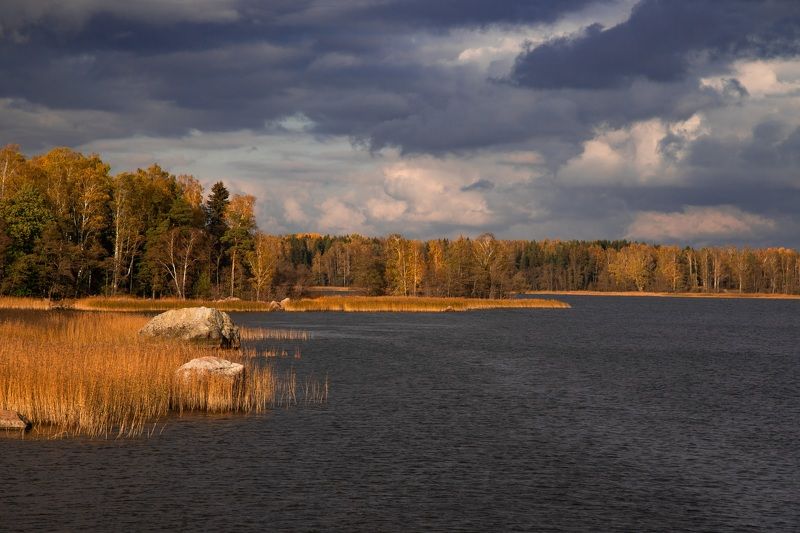 осень Осень в Выборгском заливе фото превью
