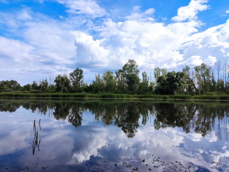 Отражение фото превью