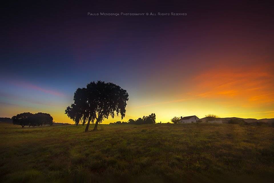 , Paulo Mendon&ccedil;a