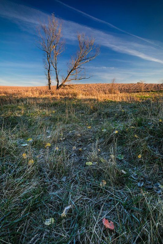 Winter is coming фото превью