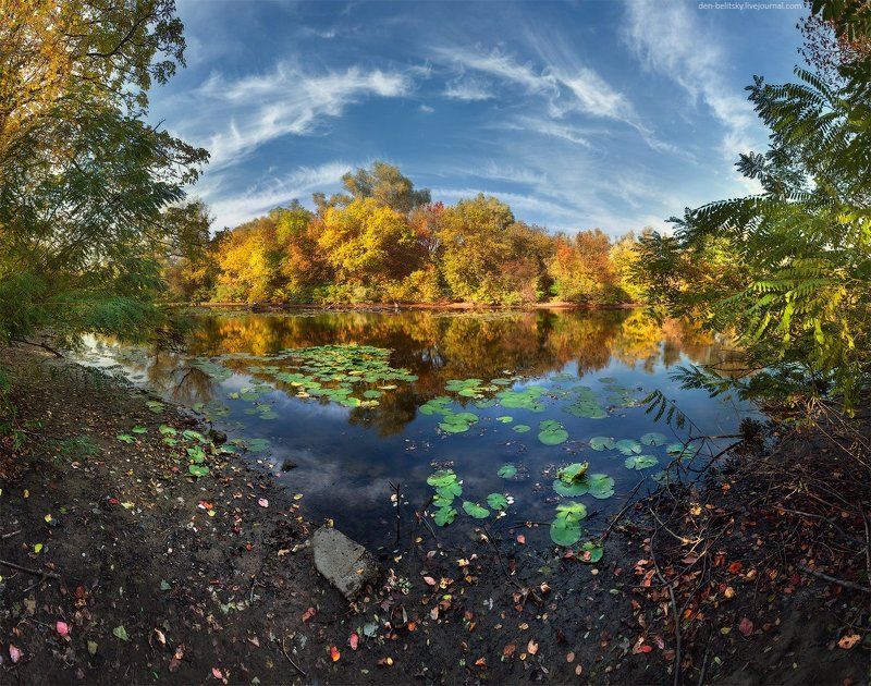 Лес, Облака, Озеро, Осень, Пейзаж, Украина Остров Хортица фото превью