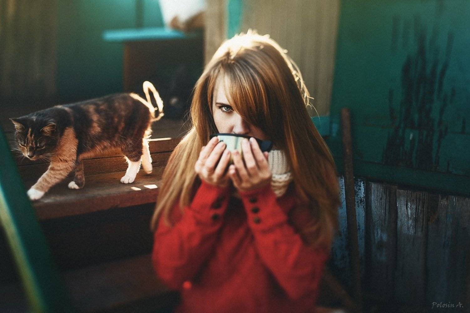 , Полосин Александр