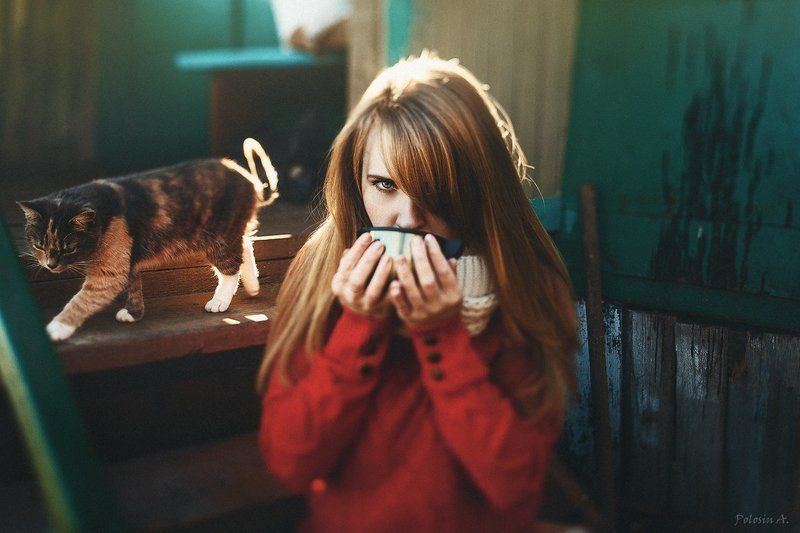 Чаепитие фото превью