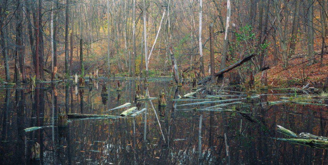 , Ярослав Тюрменко (Jaremi)