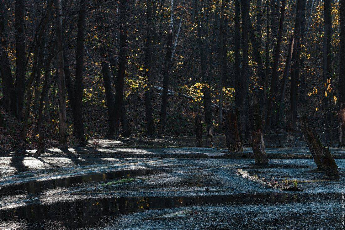 , Ярослав Тюрменко (Jaremi)