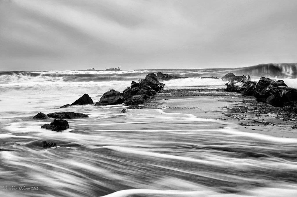 , Милен Добрев