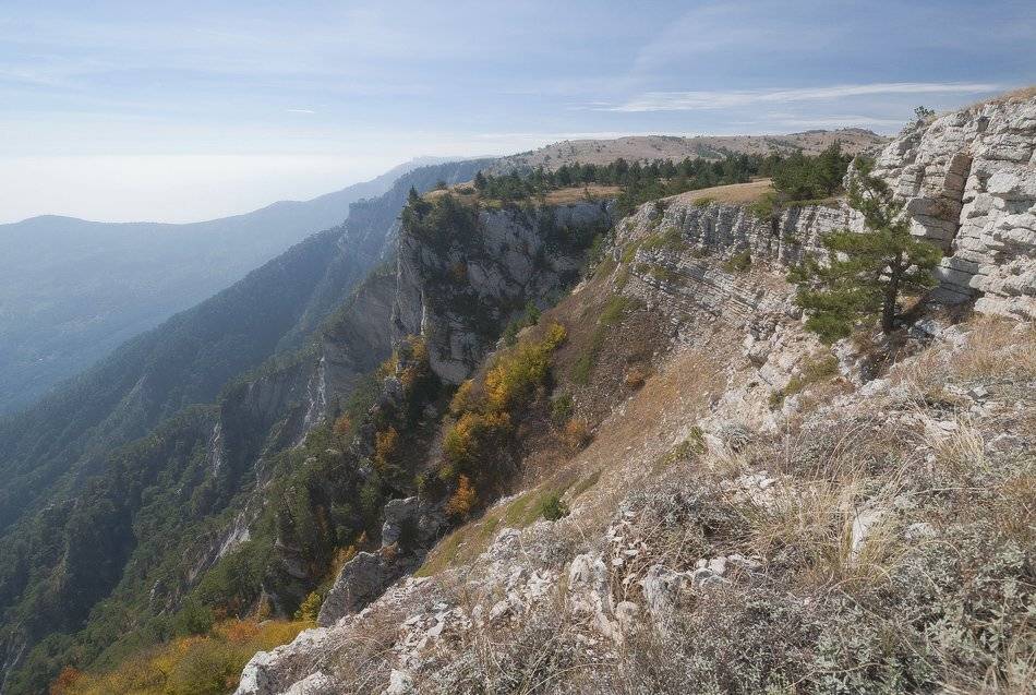, Саша  Вайсберг / Waldschnepfe /