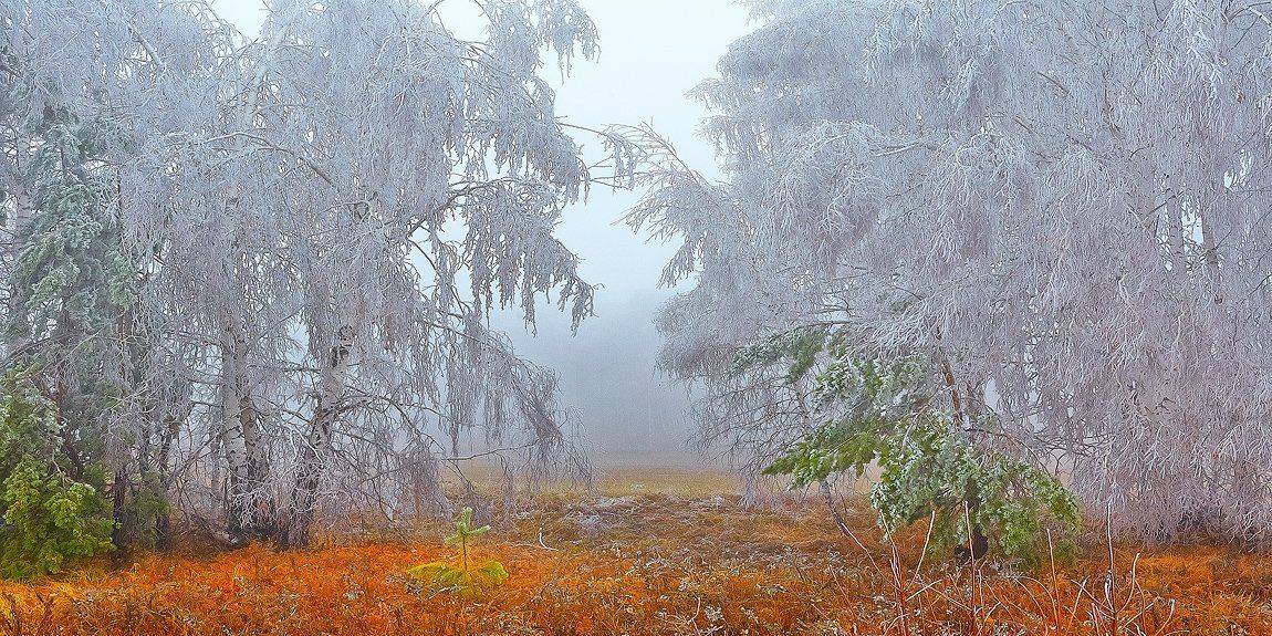 , Качурин Алексей