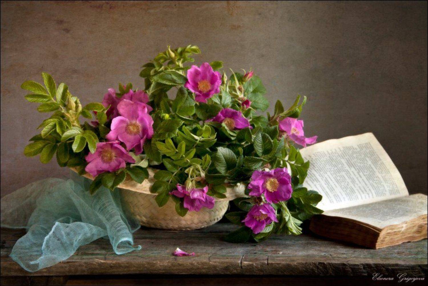 , Eleonora Grigorjeva