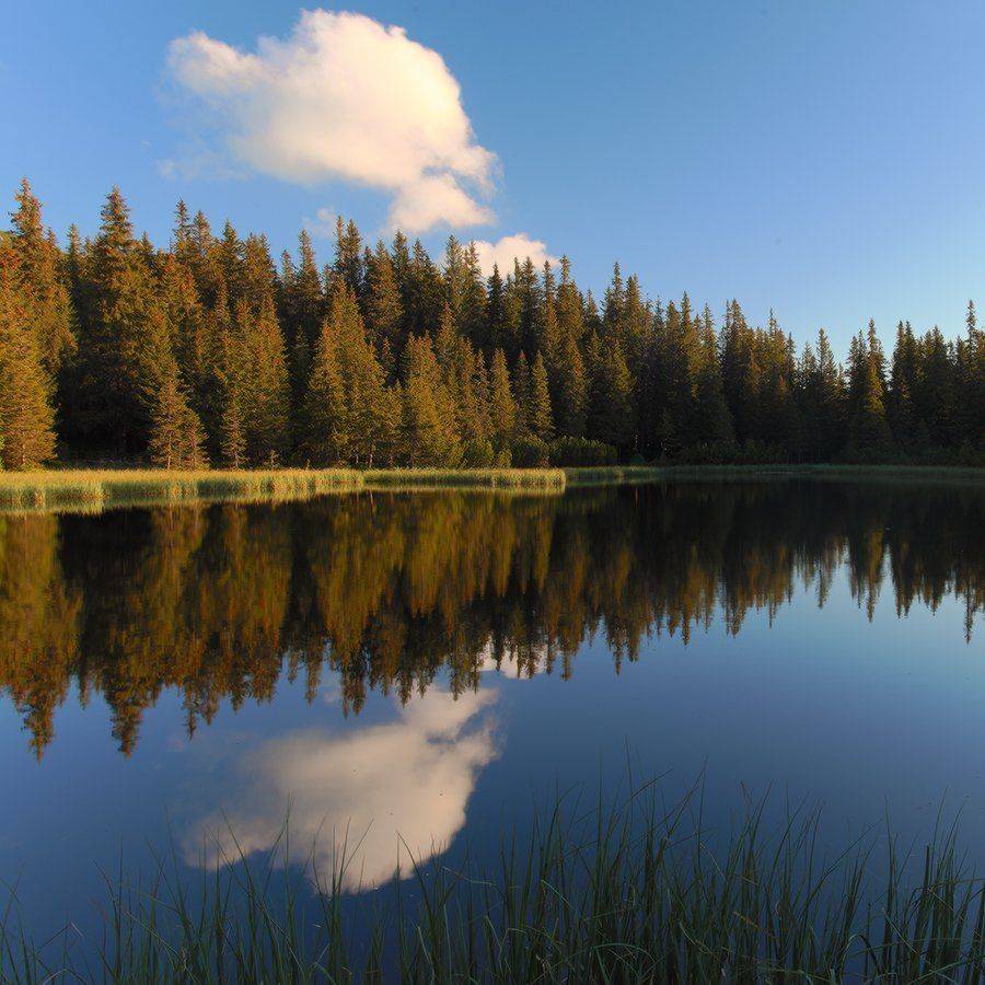 , Ярослав Тюрменко (Jaremi)