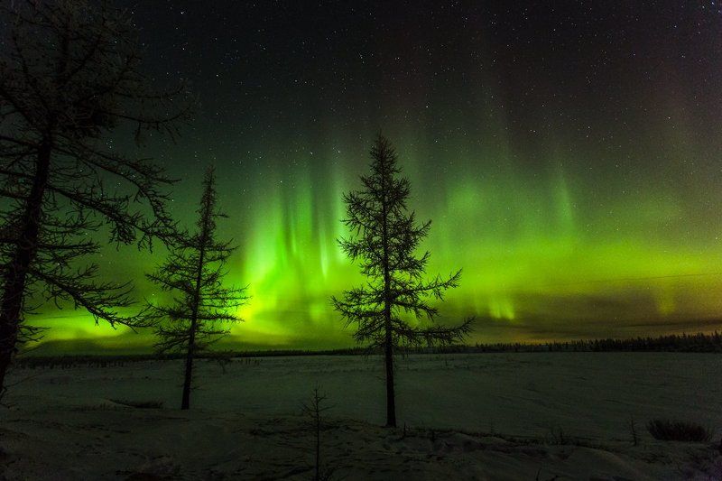 Холодный свет севера. фото превью