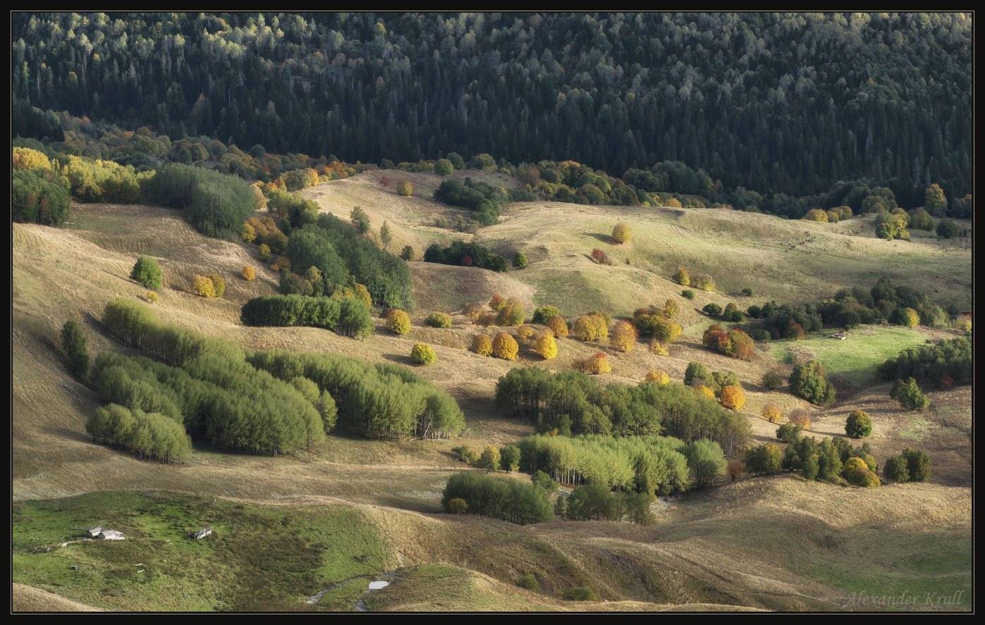 кавказ кчр, Александр Круль