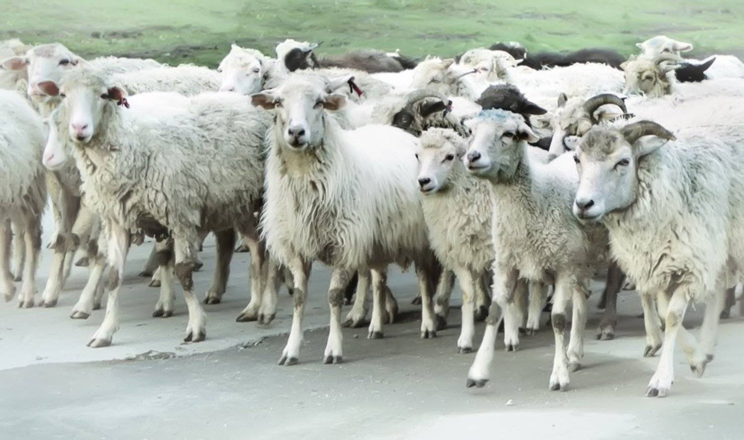 , Валерия Струнникова