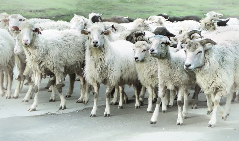 Всем привет ! фото превью