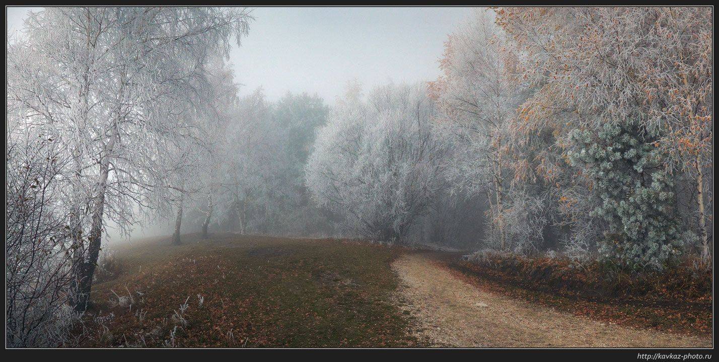 кисловодск парк, Николай Стюбко