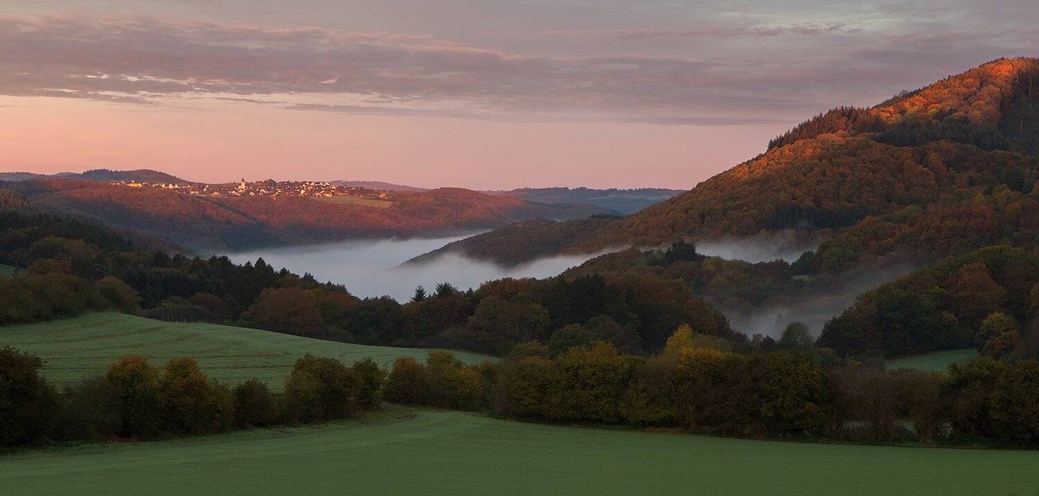 , Игорь Дубровский