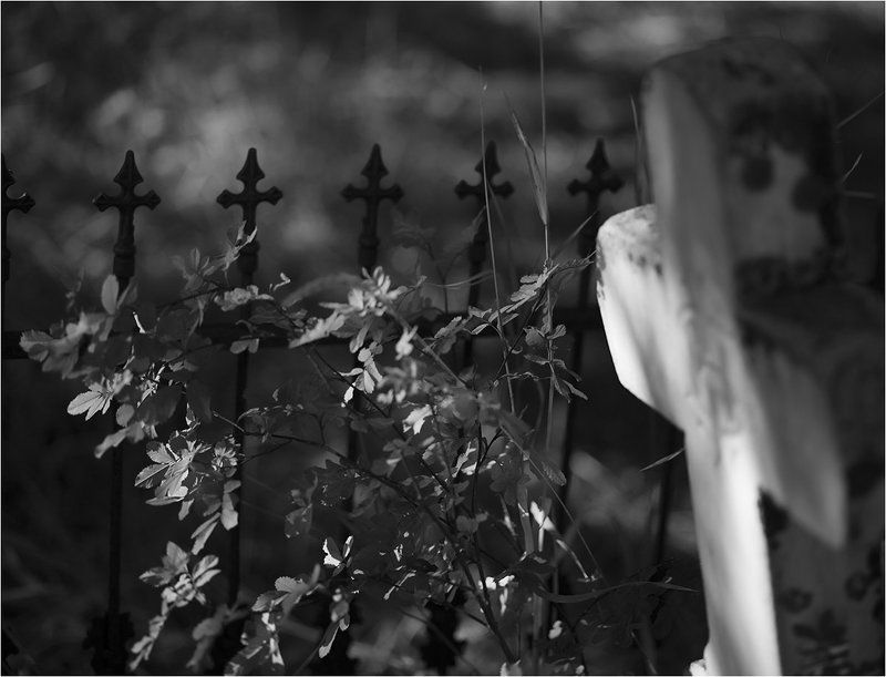 Кладбище в Канморе 3 фото превью