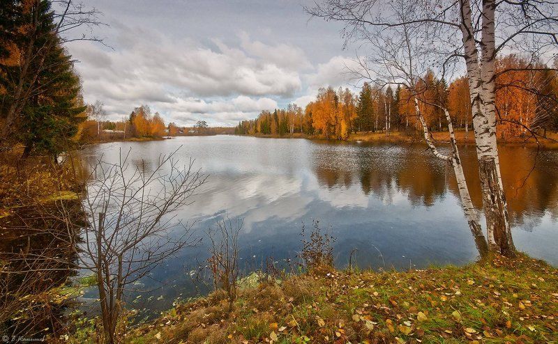 Лес, Осень, Пейзаж, Природа, Пруд Душевные песни осени... фото превью